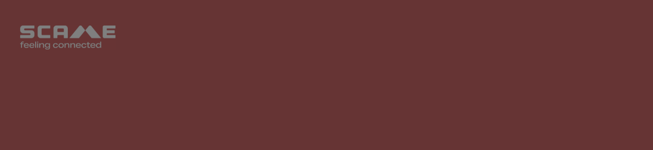promo-banner